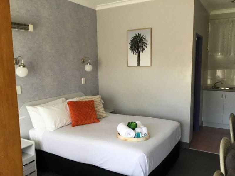 South Pacific Palms Motor Inn タンカリー エクステリア 写真